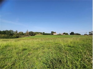 terrain à la vente -   64300  ORTHEZ, surface 2500 m2 vente terrain - UBI397521264